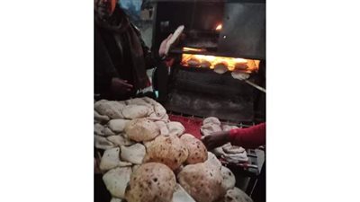 تحرير 22 مخالفة تموينية بقرى مركز ملوى في المنيا