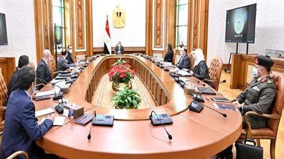 السيسي يكلف بشمول المشروع القومي لتطوير الريف لتنظيم التوزيع الإداري لمقار الخدمات الحكومية