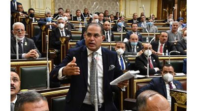 سليمان وهدان يراقب 