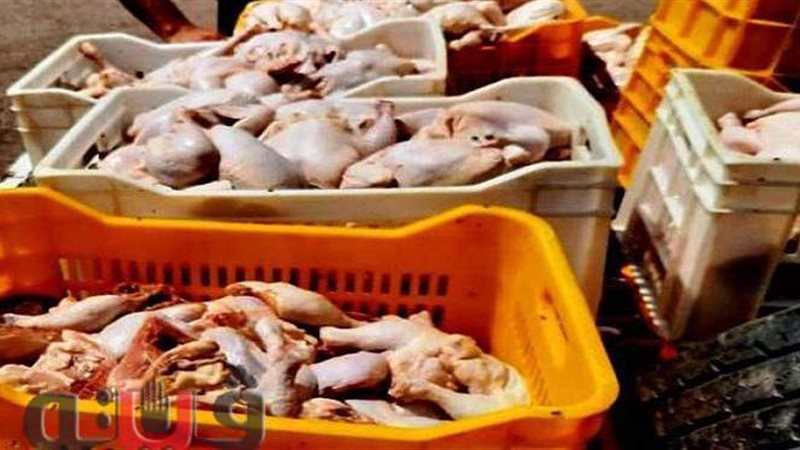 بيطري الشرقية يضبط