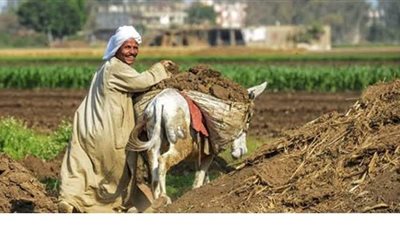 الفلاحين الزراعيين تكشف 10 مطالب للمزارعين من مجلس النواب الجديد