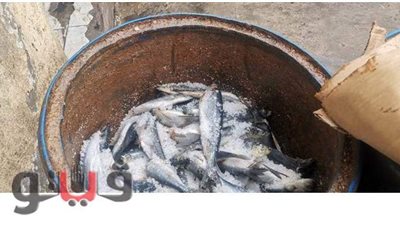 التحفظ على لحوم وأسماك فاسدة في المنوفية