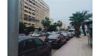 امطار خفيفة على الإسكندرية وحالة من عدم الاستقرار الجوي | صور