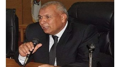 الوادى الجديد تسمح بزراعة الأرز الجاف على مياه المصارف الزراعية