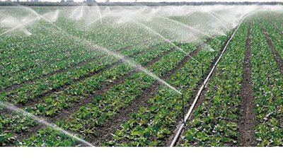 الزراعة : اعتماد أول دفعة قروض لتحديث منظومة الري بمحافظة السويس