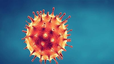 نشرة الاقتصاد.. وأبرزها: انخفاض أسعار منتجات الوقاية من كورونا.. وأسعار العملات مقابل الجنيه المصرى بنهاية تعاملات اليوم