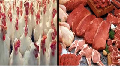 أسعار اللحوم والدواجن في المجمعات الاستهلاكية لوزارة التموين
