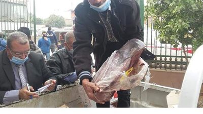 ضبط سيارتين لبيع اللحوم والكبدة الفاسدة بأسيوط | صور