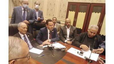 هشام الحصرى رئيسا للجنة الزراعة بمجلس النواب