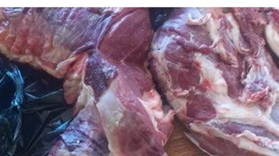 ضبط 20 كيلو لحوم منتهية الصلاحية باحد المحلات فى الإسكندرية