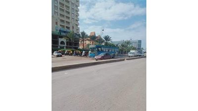 عودة الحياة للإسكندرية بعد تعرضها لموجة من الطقس السيئ