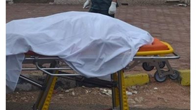 شهيد العمل.. مصرع سباك صعقا بالكهرباء بالدقهلية