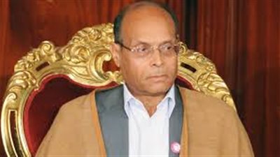 سفير مصر الأسبق بتونس: 