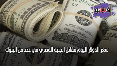 سعر الدولار اليوم مقابل الجنيه المصري في عدد من البنوك