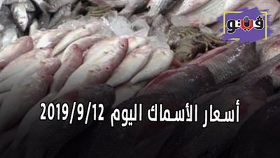 اسعار الأسماك اليوم 2019/9/12.. والبوري يسجل 30 جنيها