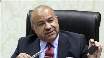 عشماوي: استثمارات المنطقة التجارية بالشرقية تصل إلى مليار جنيه