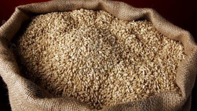 طن القمح يرتفع إلى 2933 جنيهًا بالدقهلية