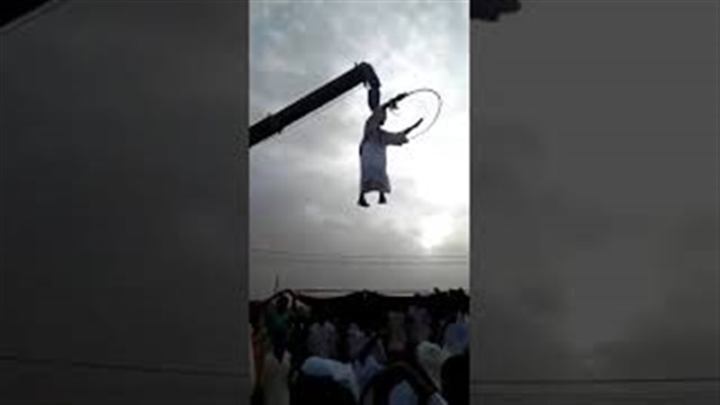 فيتو