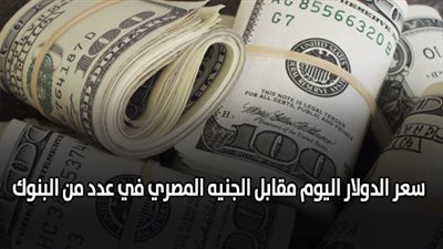 سعر الدولار اليوم مقابل الجنيه المصري في عدد من البنوك