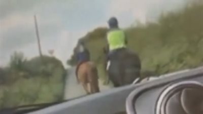 نهاية غير متوقعة لأمراة اعترضت الأحصنة طريقها أثناء السير بسيارتها (فيديو وصور)