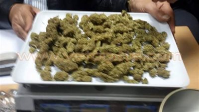 ضبط كمية من مخدر «ماريجوانا» داخل علبة شاي بمطار القاهرة