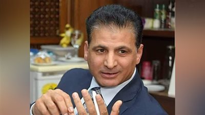 بهجت العبيدي: مشاركة الشباب المصري بالخارج في 