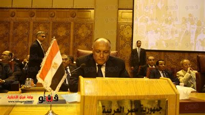 سامح شكري أمام نظرائه بالجامعة العربية: ما يحدث بـ«غزة» يقوض أمن واستقرار المنطقة بأسرها..جهودنا تركز على الوقف الفوري للعداون الإسرائيلي.. القضية الفلسطينية بين أولويات السياسة الخارجية الم