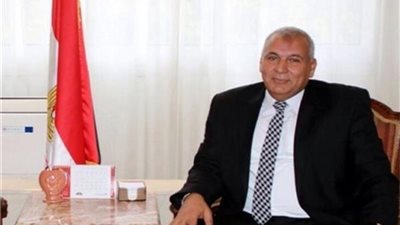 الاتصالات تطلق خدماتها بالمناطق المحرومة في الوادي الجديد