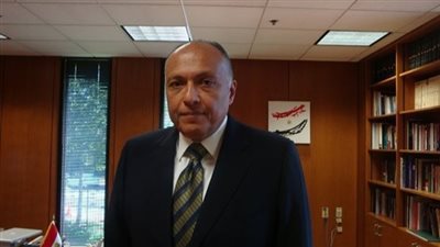 شكري: أمتنا تواجه تحديات تكاد تعصف ببعض دولها