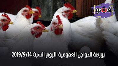 بورصة الدواجن العمومية.. اسعار الدواجن اليوم السبت 2019/9/14