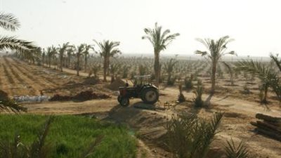 الموافقة على تعديل اتفاقية التنمية الريفية مع الولايات المتحدة