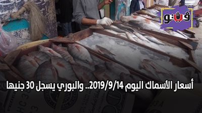 أسعار الأسماك اليوم 2019/9/14.. والبوري يسجل 30 جنيها
