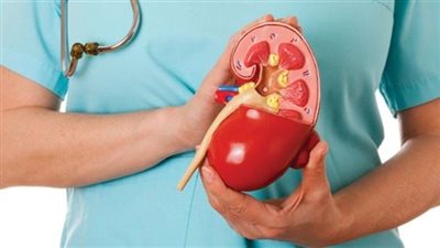 الأسبوع الوطني لأمراض الكلى في فرنسا يركز على المرأة