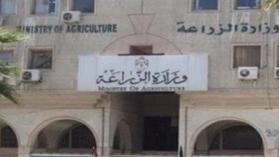 أبرز قرارات 