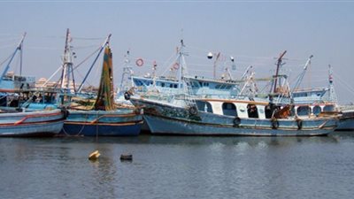 «الخارجية» تنجح في إطلاق سراح 13 بحارا مصريا في اليمن