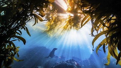 الصور الفائزة في مسابقة 