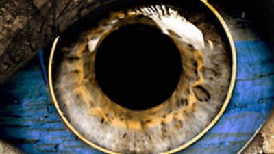 صمم خلفية شاشة هاتفك مع