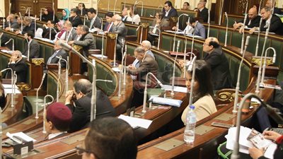 النائب أحمد أباظة: انخفاض منسوب المياه في الشرقية يهدد زراعة الأرز