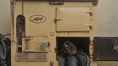 رجل ينقذ ماعز من الموت بوضعها بفرن مشتعل (صور)