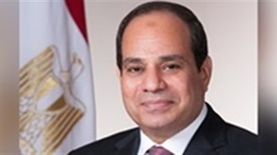 السيسي: إجراء انتخابات المحليات مطلع العام المقبل