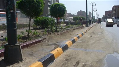 حملة نظافة وتشجير بطريق المنصورية في الهرم