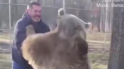 رجل يلعب الاستغماية مع دبين (فيديو)