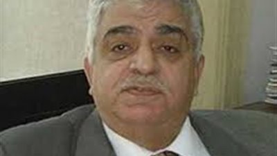 محمد المهندس: دمج الاقتصاد الموازي للمنظومة الرسمية يحقق فائدة مزدوجة