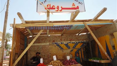 تنفيذ 13 ألف مشروع بمليار و361 مليون جنيه في سوهاج (صور)