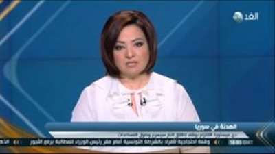 بالفيديو.. نائب سوري: خلافات حول قرار وقف إطلاق النار بسبب داعش