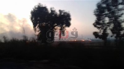 43 موقعا لتجميع قش الأرز.. خطة الشرقية لمواجهة السحابة السوداء