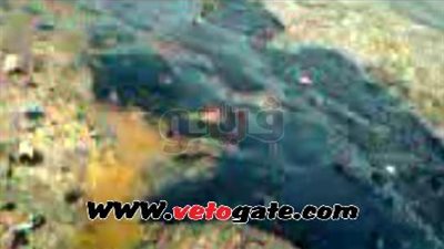 بالفيديو.. تلوث ساحل رأس غارب بزيت البترول