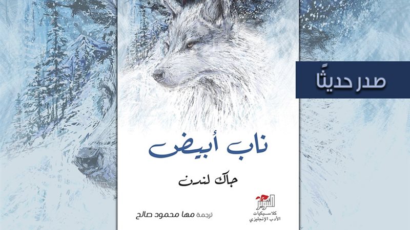 فيتو