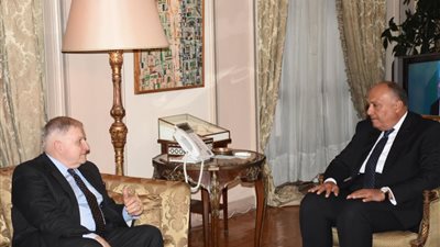 وزير الخارجية يستقبل الوفد الأمريكي المكلف بحل الأزمة القطرية