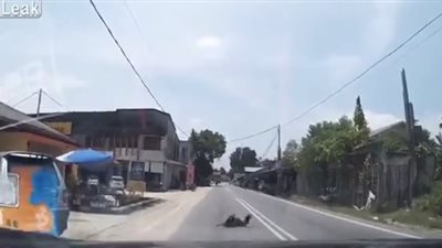 رد فعل المارة لحظة تعرض رجل لحادث دهس مروع (فيديو)